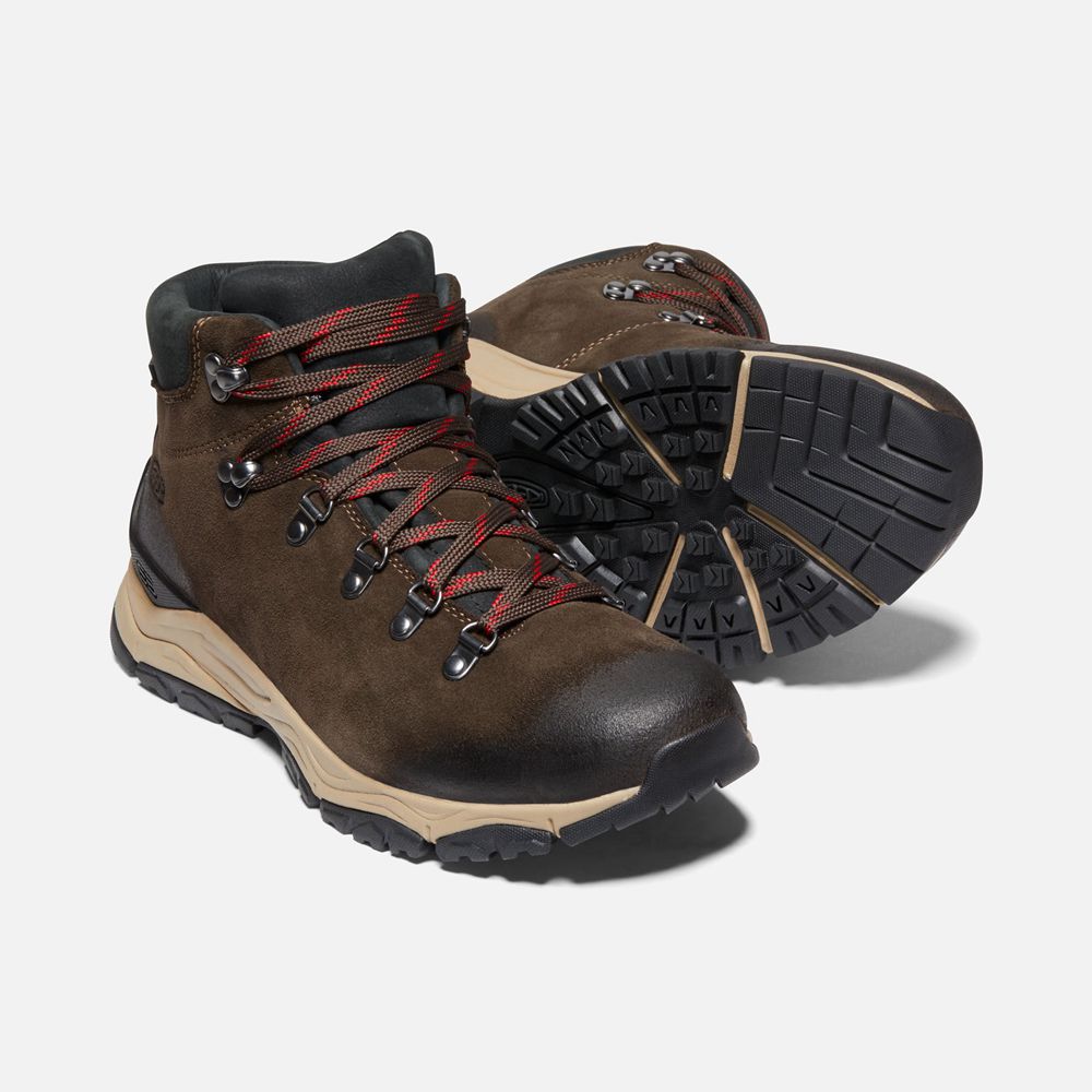 Keen Laarzen Heren Bruin - Feldberg Apx Waterproof - 31469-BDEN